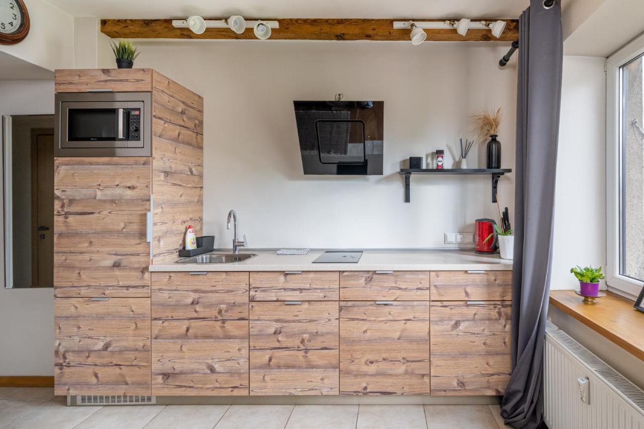 Lacplesa loft-style residence Riga Exterior foto