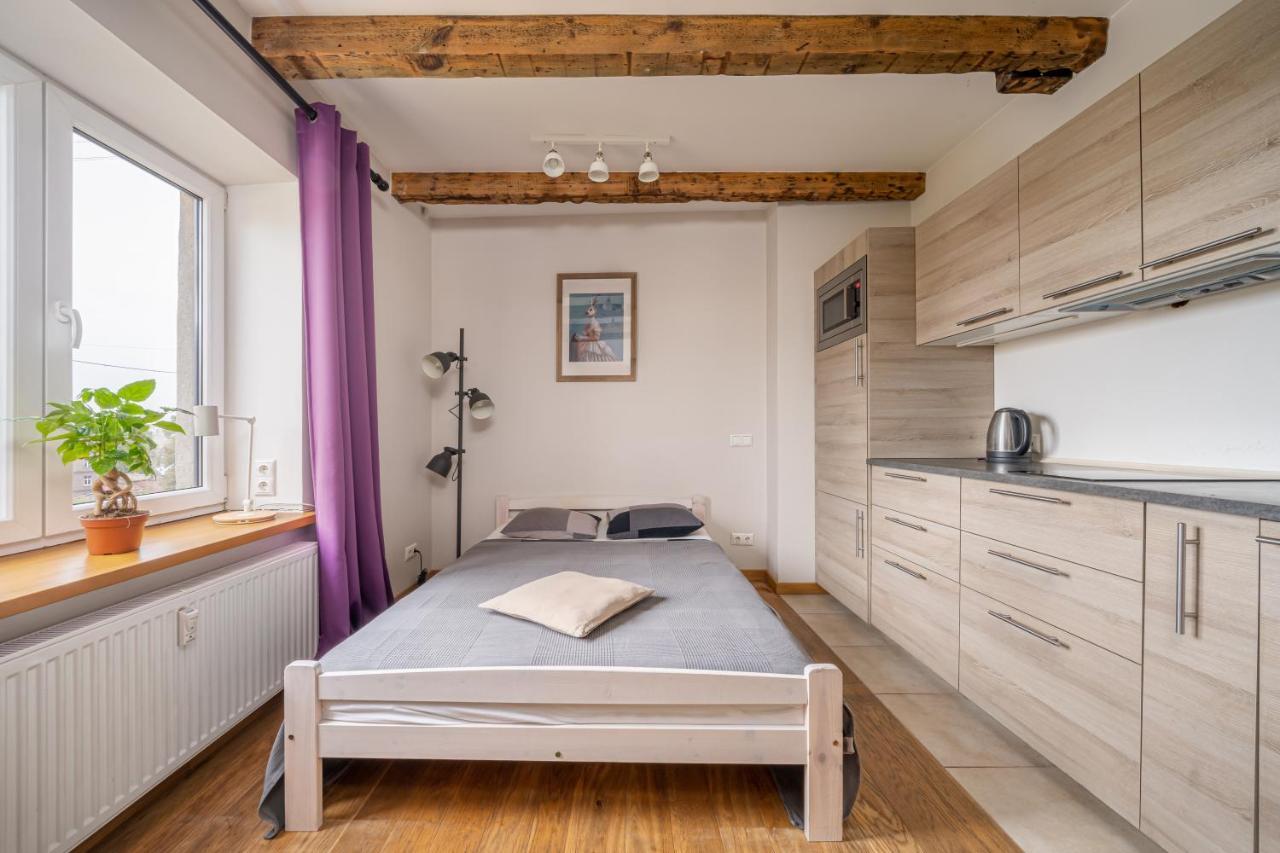 Lacplesa loft-style residence Riga Exterior foto